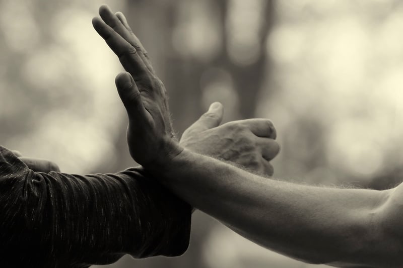 Tai Chi movements