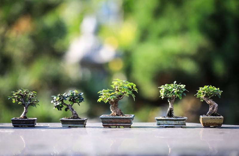 Zen meditation